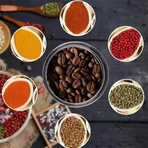 RAF Mini Electric Coffee & Spice Masala Grinder – Stainless Steel 220V